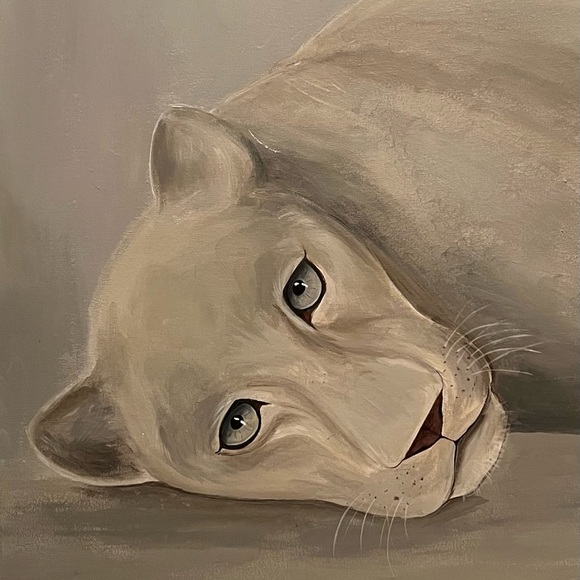White lioness, new, 60*70 inch